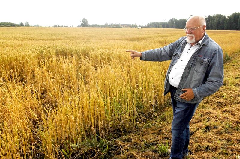 Lauksaimnieks Jānis Bite brīdina, ka zemniekiem būs grūti atjaunot labi izkoptus piena govju ganāmpulkus. Kam iespējams, tos var subsidēt ar graudu audzēšanas ieņēmumiem.
Autors: no «Bauskas Dzīves» arhīva