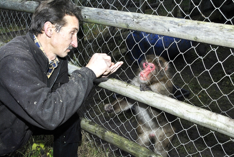 Varis Ķelpe, «Dobuļu» saimnieks.
Autors: no albuma.