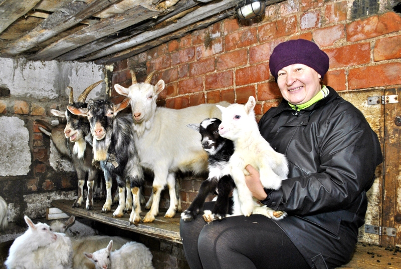 2015. – Kazas – gads Lienītei Ivanovai atmiņā paliks ar labestību, jautrību un gūto gandarījumu gan no līdzcilvēkiem, gan no jaukajiem aprūpējamajiem lopiņiem. 
Autors: Ivars Bogdanovs