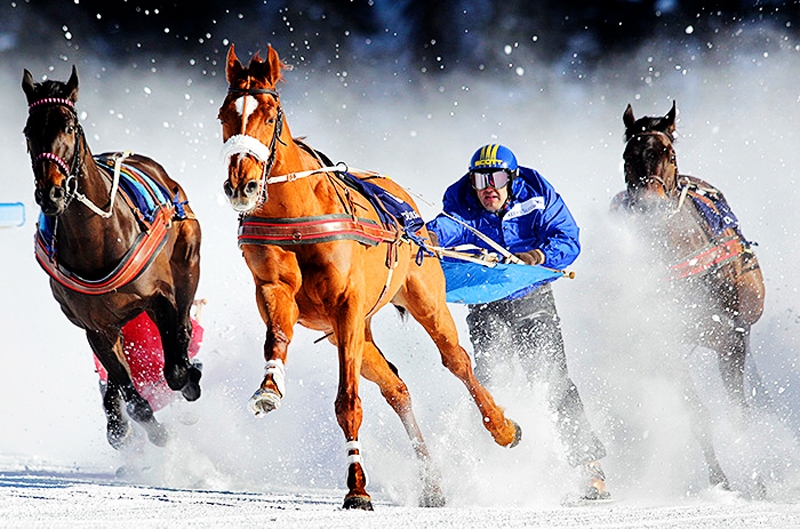 Zirgu skijoringam piemīt ne tikai dinamisms, bet arī īpaša ziemas noskaņa.
Autors: no LSF albuma