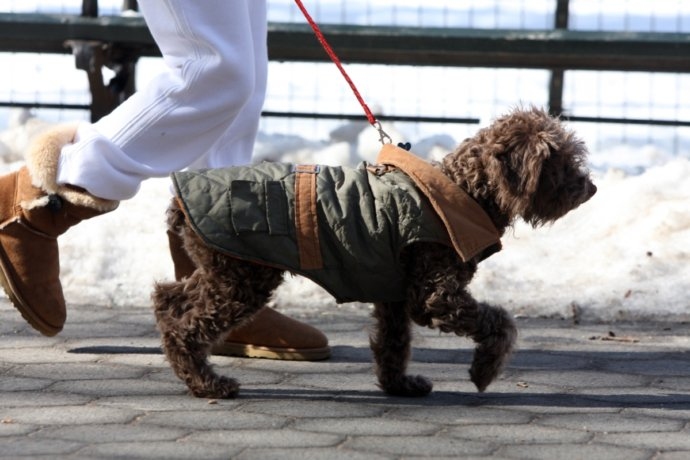 Attēlam ilustratīva nozīme.
Autors: no kasjauns.lv