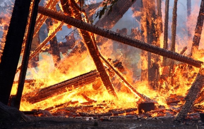 Attēlam tikai ilustratīva nozīme.
Autors: no kasjauns.lv