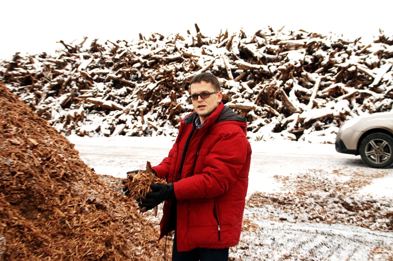 Renārs Skudra demonstrē purva celmu koksnes šķeldu.
Autors: Uldis Varnevičs