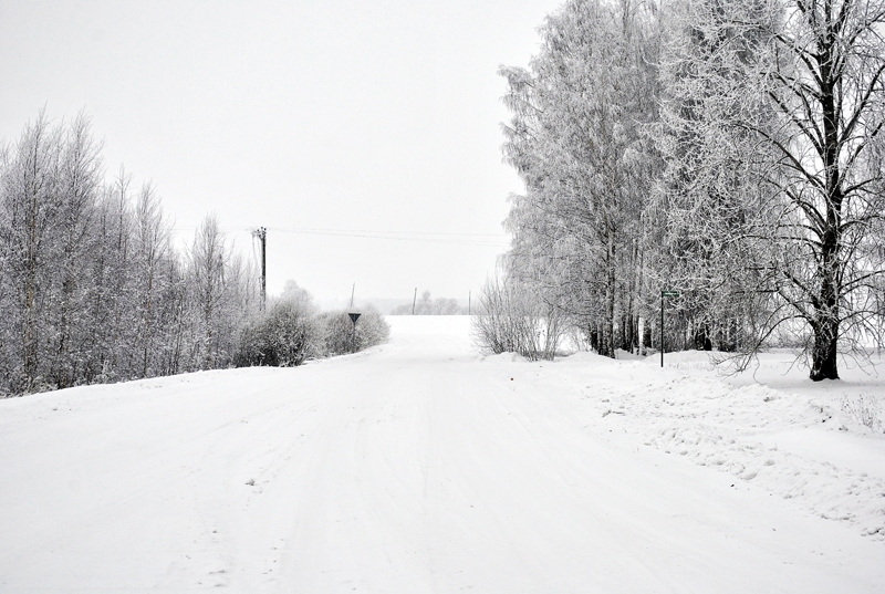 Ziemā migla apgrūtina braukšanu, taču nekaitē dārziem un tīrumiem un ļauj baudīt skaistus skatus.
Autors: Ivars Bogdanovs