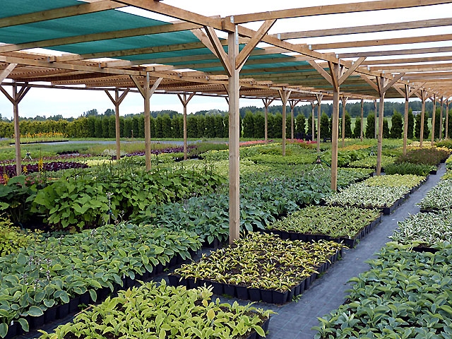 Autors: pukulauki.lv