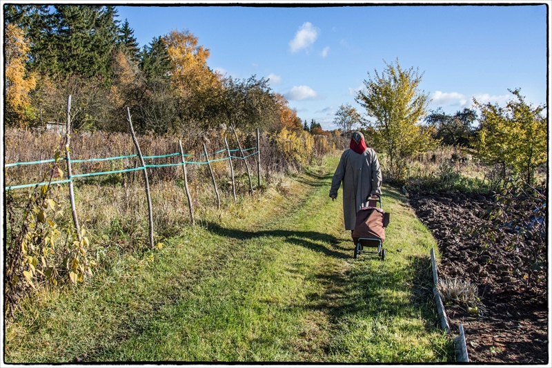 Mazdārziņi – izzūdoša vērtība.
Autors: Māris Kreitenbergs