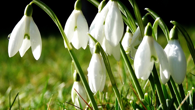 Autors:  no nastol.com.ua.