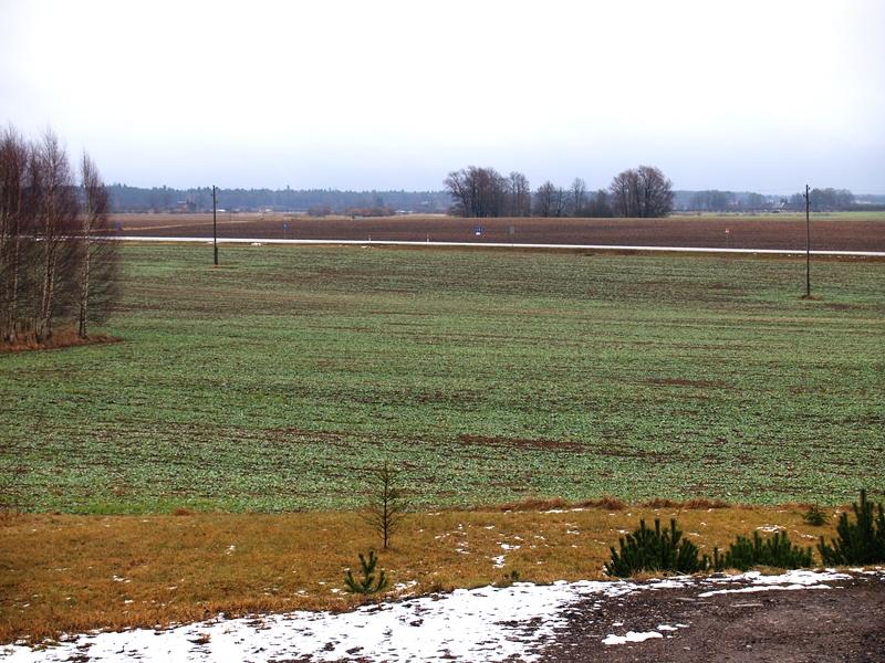 Sējumi no atkušņa un īslaicīga neliela sala necietīs, vērtē lauksaimnieki. 
Autors: Antra Ērgle