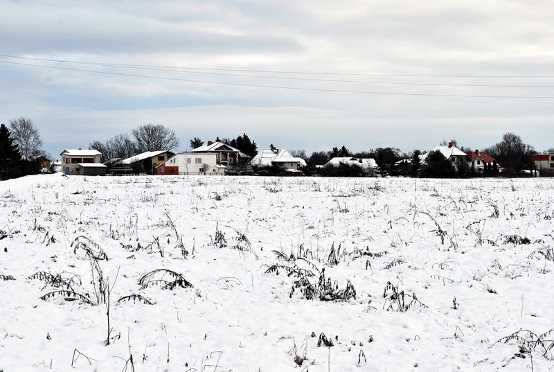 Neizmantoto pašvaldības zemi pie Vītolu un Pļavu ielas Iecavas hokeja klubs vēlas nomāt segta leduslaukuma būvei. 
Autors: Māris Krūmiņš