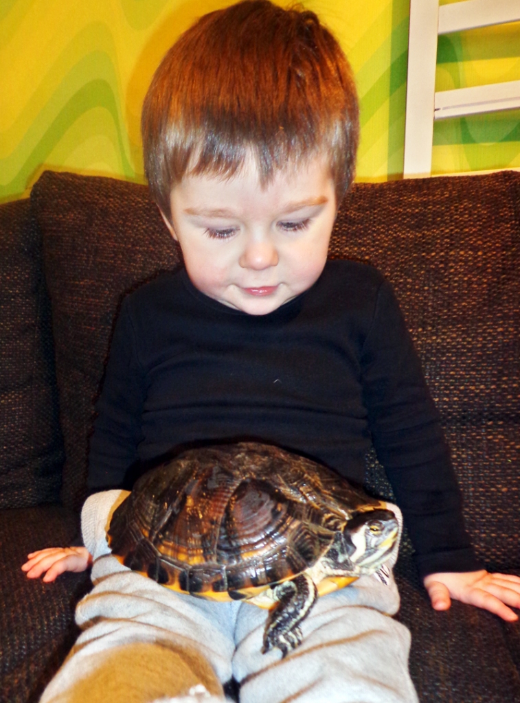 Žoržiks ir ņiprs bērnu iecienīts rotaļu biedrs.
Autors: no  personiskā albuma.