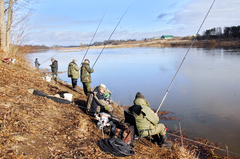 Makšķernieku iecienītā vieta Lielupē – Rundāles novada Mežotnes pilskalna pakāje. Reizēm tur pulcējas pat
50 copmaņu.
Autors: Ivars Bogdanovs