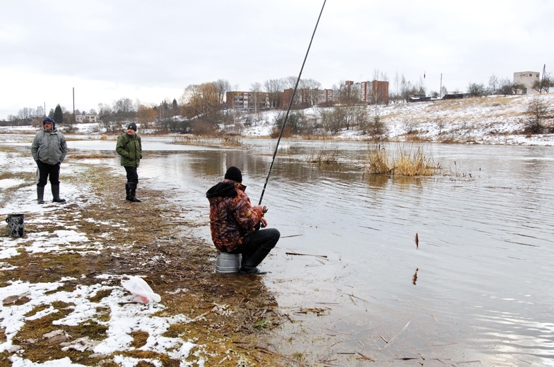 Līdz 1. aprīlim makšķerēt drīkst bez aizliegumiem, paturot piecas vimbas dienā.
Autors: Ivars Bogdanovs