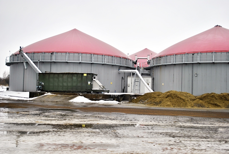 «Agro Iecava» biogāzes stacijas saņemtais atbalsts nav atkarīgs no dabasgāzes cenas, tomēr ražošanas sabalansēšanai māsas uzņēmumā SIA «Zeltezeri» attīsta citus lauksaimniecības virzienus.
Autors: no «Bauskas Dzīves» arhīva