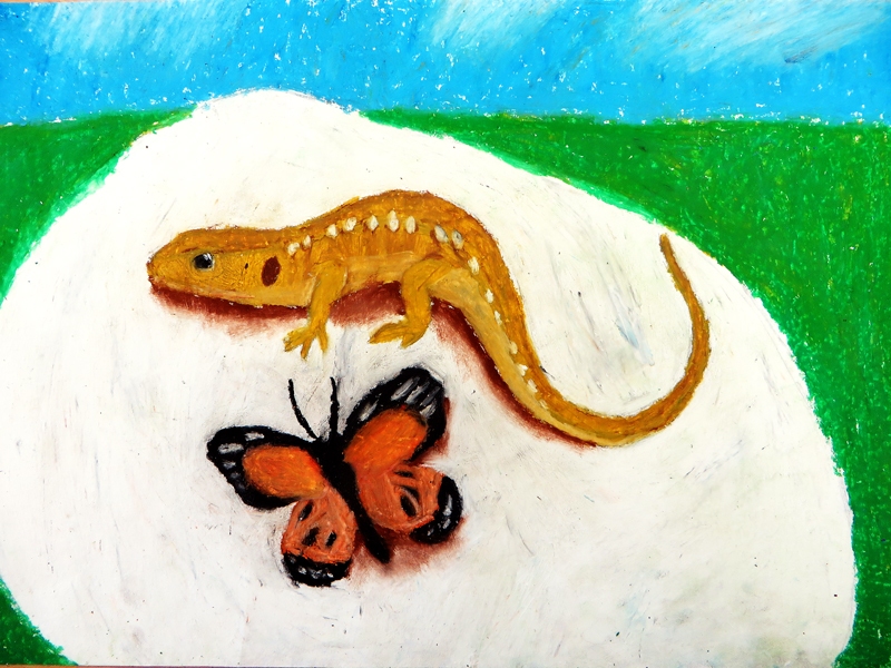 Alises Karosas, Uzvaras vidusskolas audzēknes, zīmējums.
Autors: Daiga Sējēja