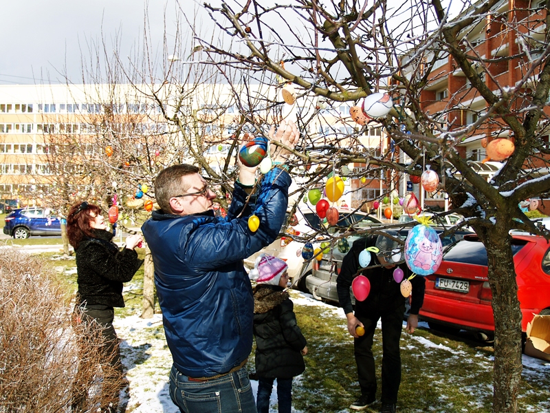 Dekori vēl kailo kociņu izrotāšanai saglabāti no pērnā gada un gatavoti no jauna.
Autors: Antra Ērgle