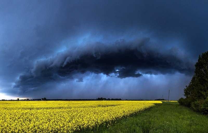 «Savilkonis» – foto, kas uzvarēja «Sony» Latvijas nacionālajā konkursā.
Autors: no J. Paļuļa albuma. 
