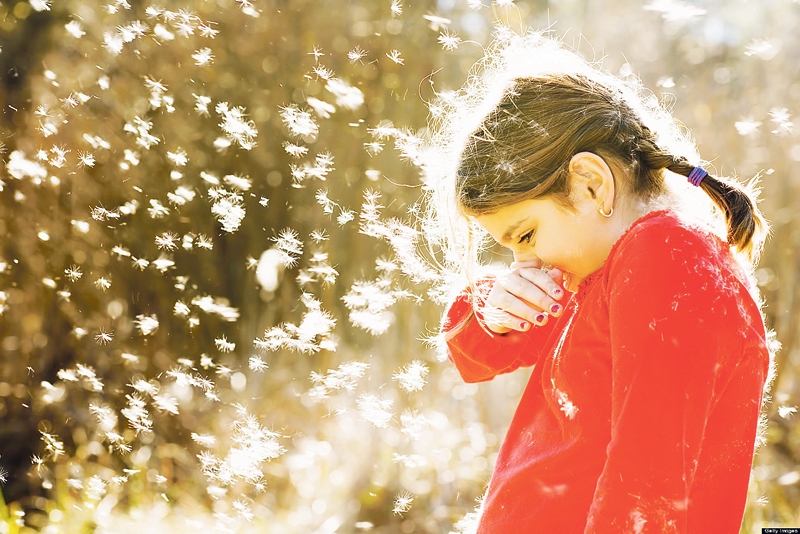 Autors: no fundaler.org.ar