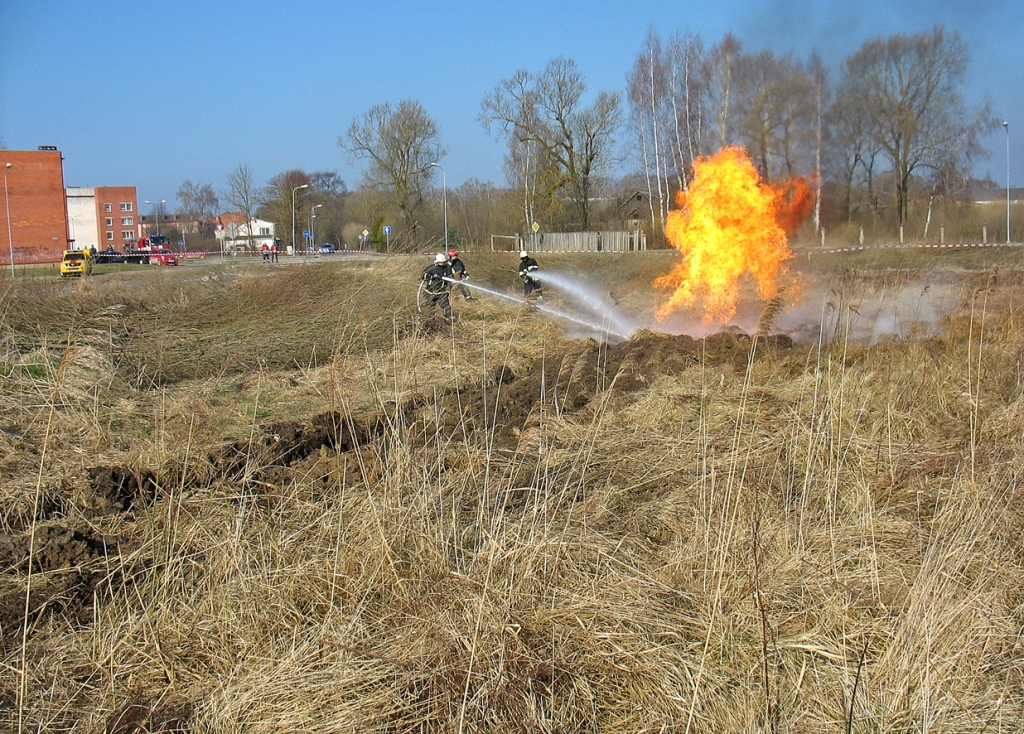 Ugunsdzēsēji operatīvi nodzēsa degošo pērno zāli un novērsa gāzes vada uzliesmojumu.
Autors: Vilnis Auzāns