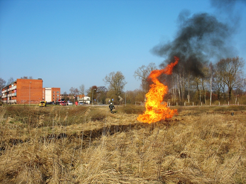 Ugunsdzēsēji operatīvi nodzēsa degošo pērno zāli un novērsa gāzes vada uzliesmojumu. 
Autors: Vilnis Auzāns