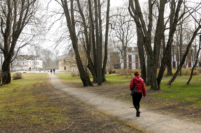 
Foto – 
Gājēju celiņš caur Iecavas parku beidzot varētu iegūt pienācīgu segumu un apgaismojumu.
Autors: Ivars Bogdanovs