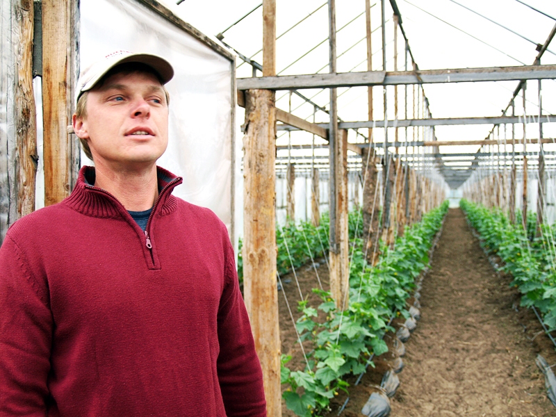 Egils Druviņš «Liepziedu» siltumnīcās pērn.
Autors: no «Bauskas Dzīves» arhīva