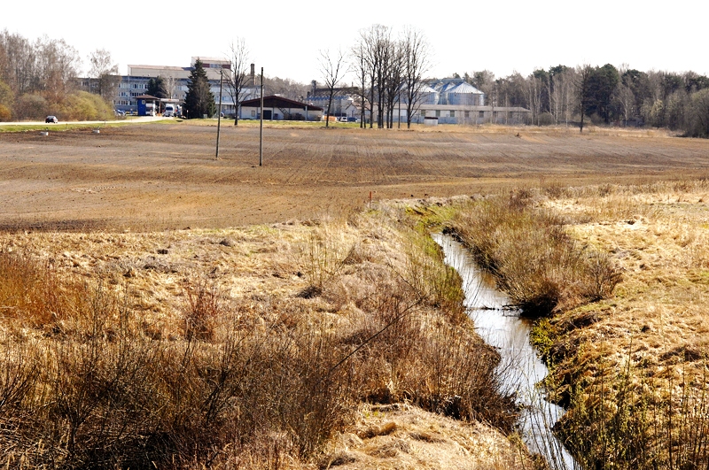 Verģupīte 12. aprīlī pie «Balticovo» teritorijas.
Autors: Ivars Bogdanovs