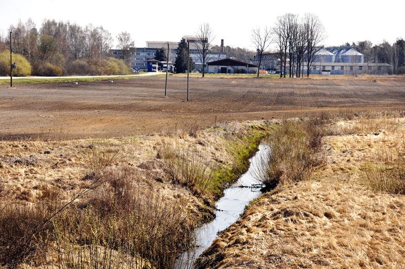 Verģupīte 12. aprīlī pie uzņēmuma «Balticovo» teritorijas Iecavas novadā.
Autors: Ivars Bogdanovs
