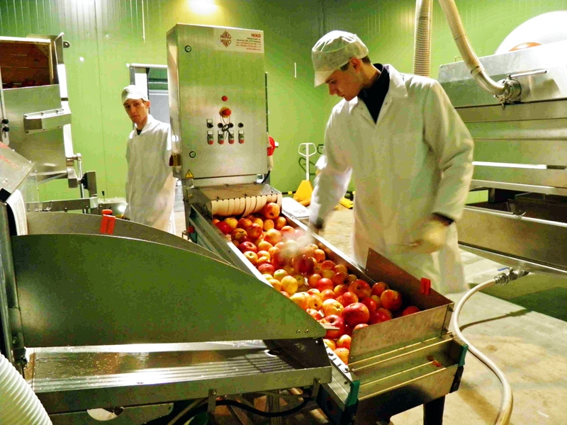 LEADER programmā šoreiz vairāk atbalsta paredzēts lauku uzņēmējiem, lai attīstītu ražošanu un pārstrādi.
Autors: Ilustratīvs foto. 