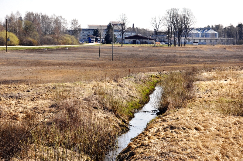 Verģupīte 12. aprīlī pie uzņēmuma «Balticovo» teritorijas Iecavas novadā.
Autors:  no «Bauskas Dzīves» arhīva
