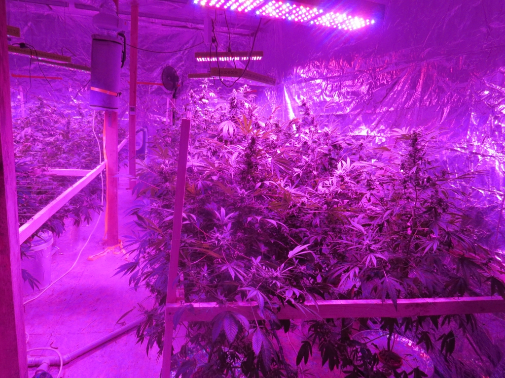 Autors: Policijas foto