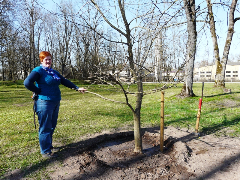 Sarmīti Avotu apbēdinājis, ka šoreiz Iecavas novadā talkā mazāk aktīvi bijuši jaunieši.
Autors: no «Bauskas Dzīves» arhīva