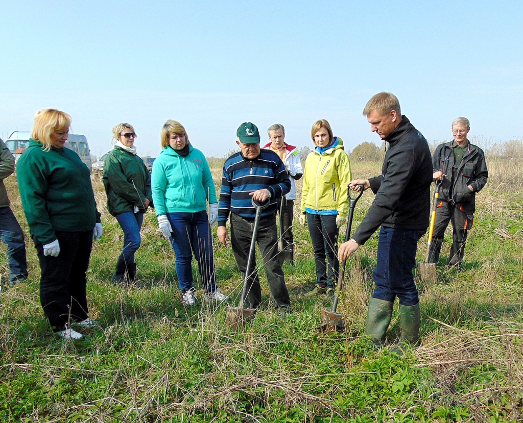 Valsts akciju sabiedrības «Latvjas Valsts meži» Bauskas iecirkņa vadītājs Lauris Ropājs (no labās) talciniekiem ierāda, kā pareizi stādīt bērziņus. 
Autors: Vilnis Auzāns
