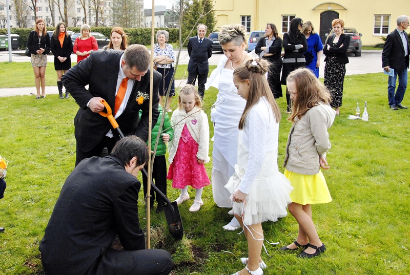 Jaunlaulātie Inese un Aldis Ķibildi iestāda ozolu Korfa dārzā.
Autors: Ivars Bogdanovs