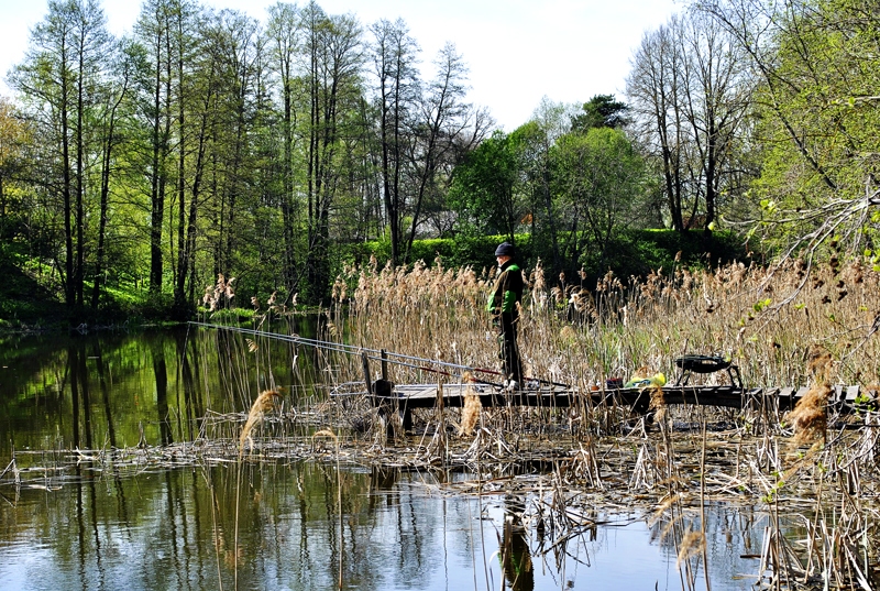 Autors: no «Bauskas Dzīves» arhīva