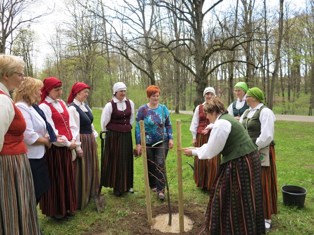 Jaunā liepa Iecavas parkā stādīta ar dāvātājas Sarmītes Avotas (vidū) padomu, spēku kociņam dodot ar dāmu nēsātajiem tautastērpiem.
Autors: no biedrības albuma