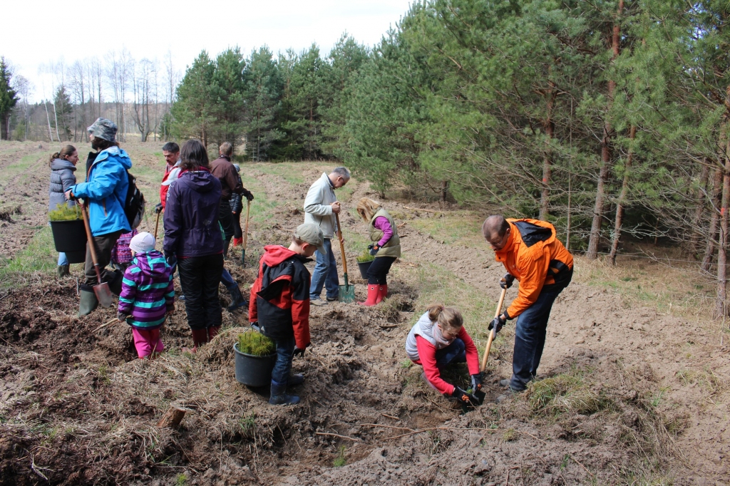 Aluksniesiem.lv raksta attēla aizvietotājs