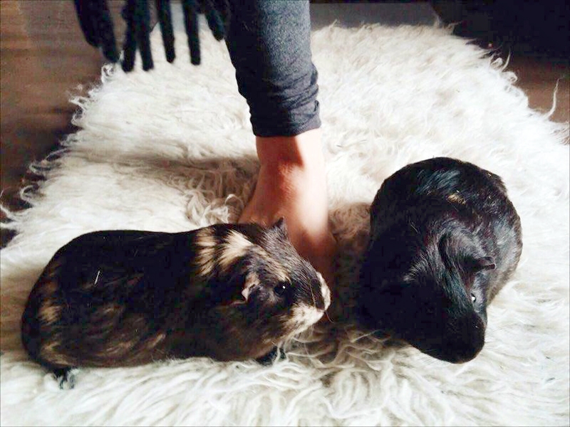 Anna un Bete.
Autors: no personiskā albuma.