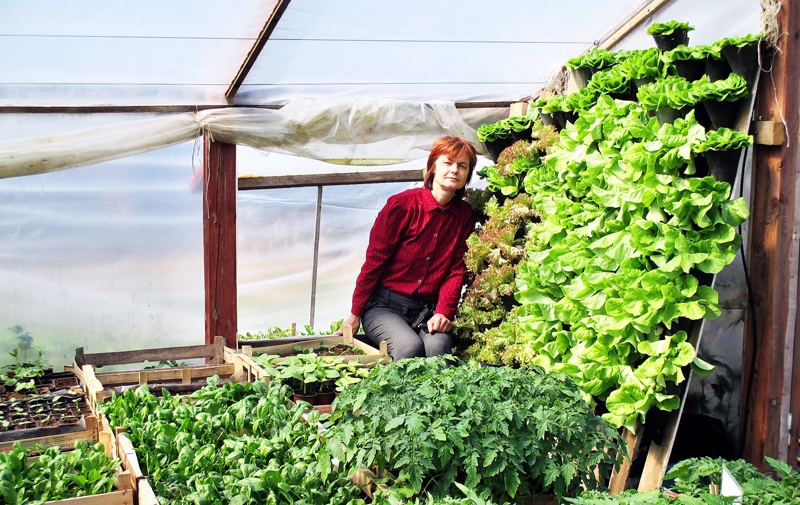 Laila Branka ir pārliecināta, ka dārzā jādarbojas bez ķīmijas.
Autors: no personiskā albuma.