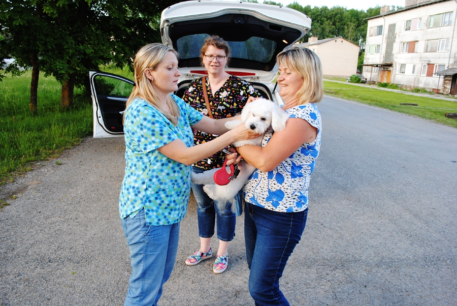 Tatjana Jajus atvedusi vakcinēt Maltas zīda sunīti Semu, kuram gaidāms ārzemju brauciens.
Autors: Antra Ērgle