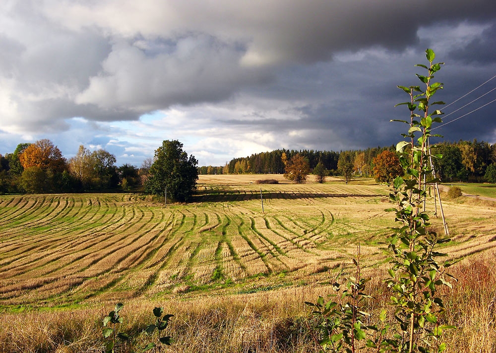Autors: no «Bauskas Dzīves» arhīva