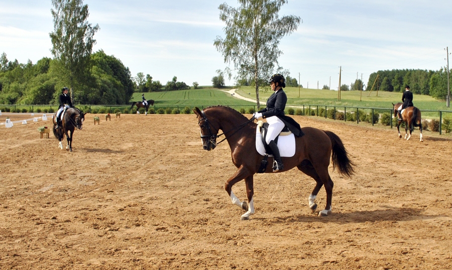 «Drostalās».
Autors: no «Bauskas Dzīves» arhīva