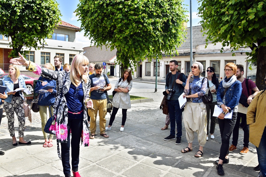 Plenēra pirmajā darba sanāksmē 7. jūnijā par pasākumu lielu interesi izrādīja studenti, topošie ainavu arhitekti, kā arī pieredzējuši šīs jomas speciālisti.
Autors: no «Bauskas Dzīves» arhīva