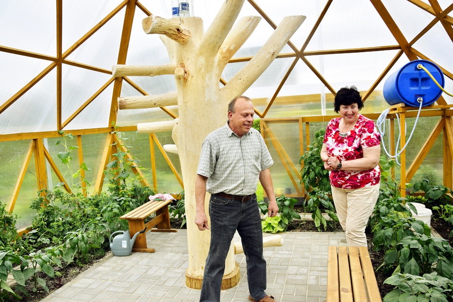 Egils Baranovs kopā ar sievu Laimu siltumnīcā audzē tomātus, gurķus, papriku, dilles, zirņus, aprikozes un pat arbūzus.
Autors: Ivars Bogdanovs