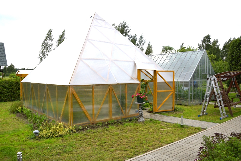 Egils Baranovs kopā ar sievu Laimu siltumnīcā audzē tomātus, gurķus, papriku, dilles, zirņus, melones un pat arbūzus.
Autors: Ivars Bogdanovs