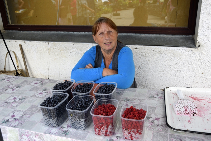 Ona no Iecavas novada Zālītes atzina, ka šogad melleņu raža sliktāka nekā pērn.
Autors: Ivars Bogdanovs