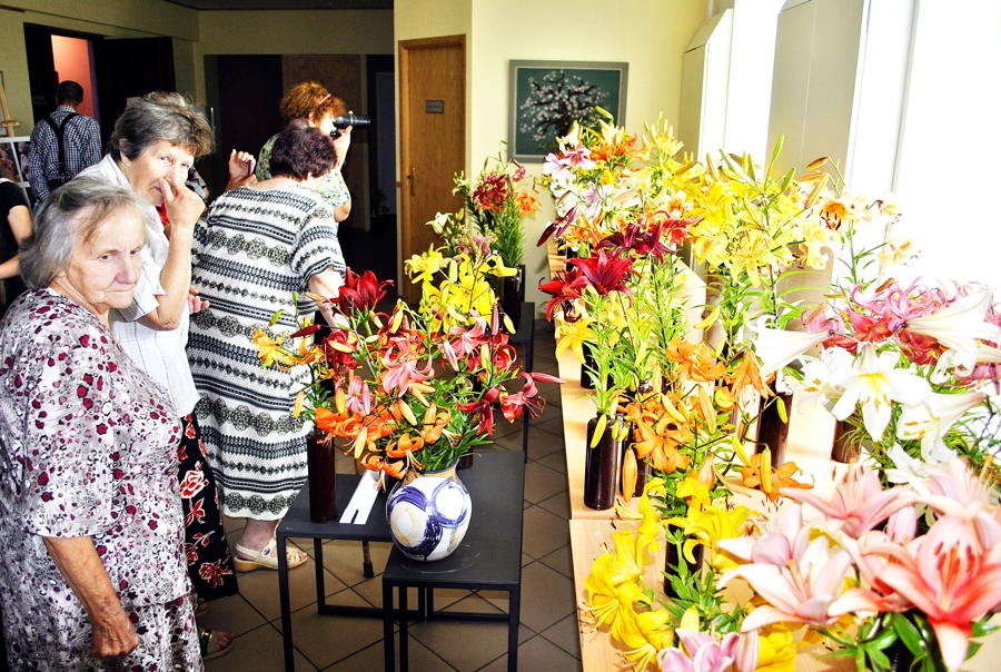 Vecumniekos sestdien bija skatāma gan liliju izstāde, gan daudzveidīgi floristu darbi.