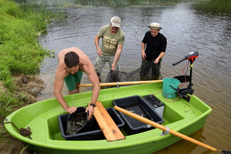 Valērijs Gabrāns, Aleksandrs Gurkovskis un Mārcis Pļaviņš piepilda vannas, lai dotos pa Mūsu un vairākās vietās ūdenī ielaistu līdaku mazuļus.
Autors: Ivars Bogdanovs