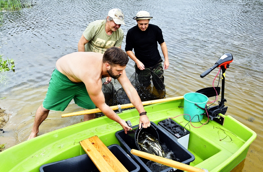 Zivju pavairošana. Mārcis Pļaviņš (no kreisās), Valērijs Gabrāns un Aleksandrs Gurkovskis piepilda vannas, lai dotos pa Mūsu un vairākās vietās ūdenī ielaistu līdaku mazuļus.
Autors: Ivars Bogdanovs