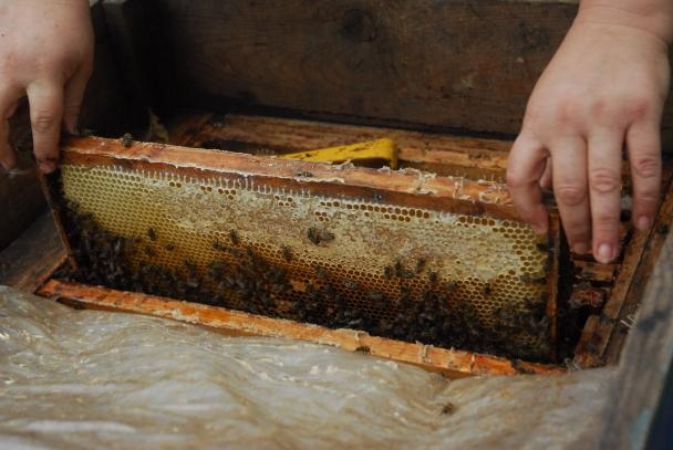 Autors: no «Bauskas Dzīves» arhīva