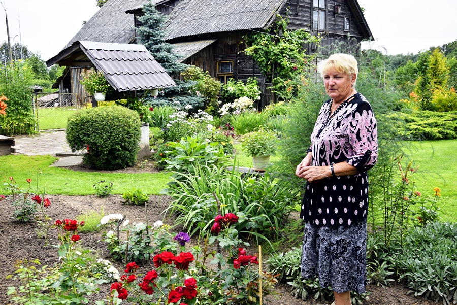 Dzintras Artemjevas dārzā aug aptuveni 50 rožu. 
Autors: Ivars Bogdanovs